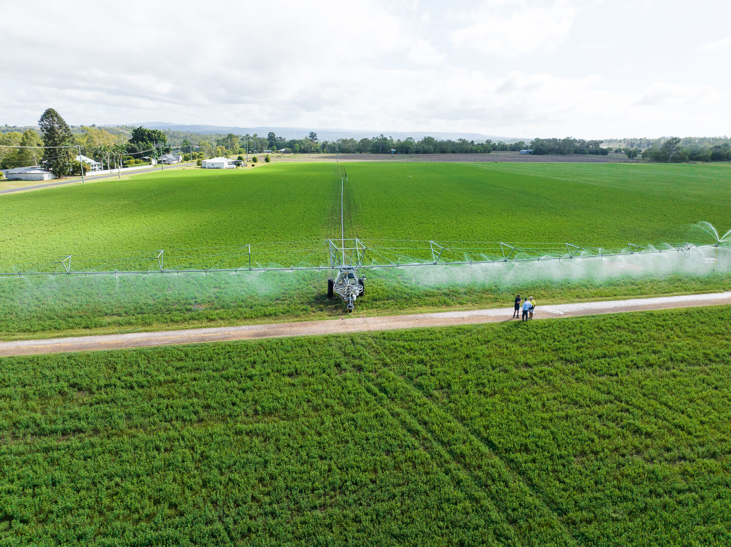 Aerial photo of irrigator on field with crops