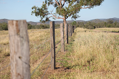 Rural fence 