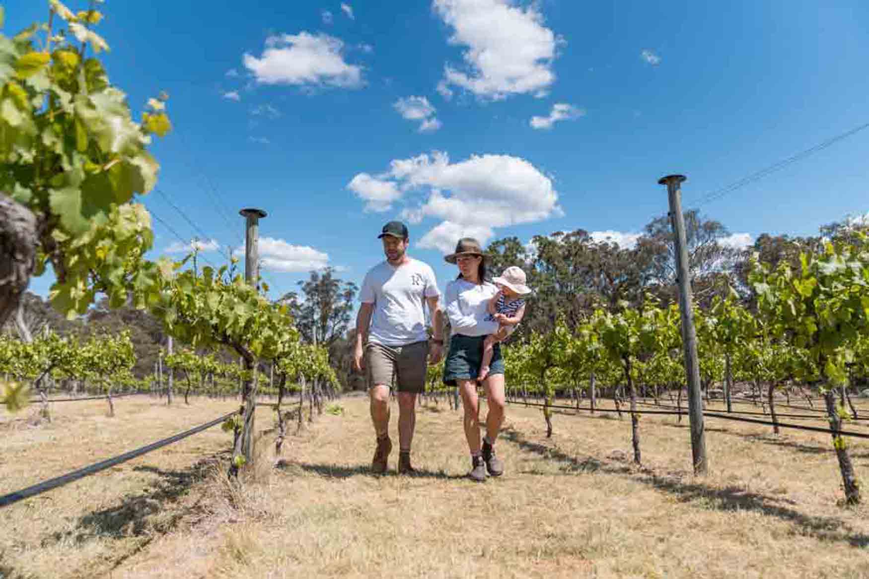 Nick and Caitline Roberts with their child walk through the vineyards