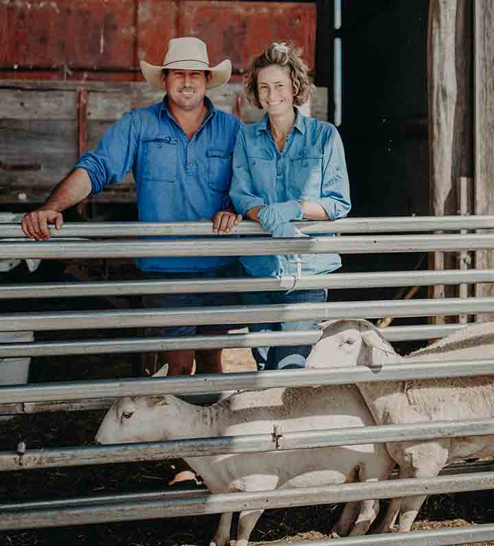 A man and woman stand together with sheep in yards