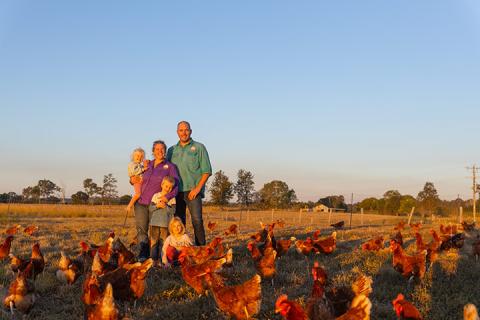 Kuhn family who used a Sustainability Loan stand with their flock of chickens.